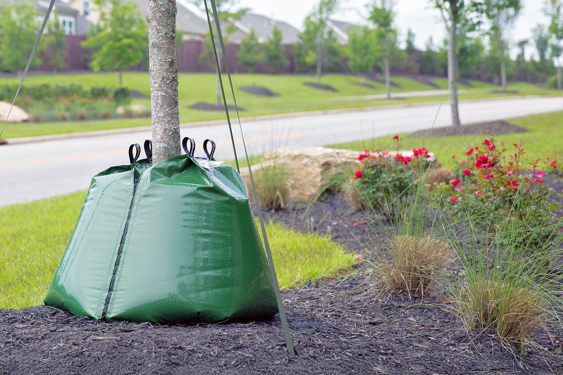 arbor rain tree bag Treegator Original Slow Release Watering for Trees, The Original Watering Bag, Ideal for new or established trees, Fits trees from 1 to 8 inches in trunk diameter, Made This is great for periods of drought Garden Armor 20 Gallon Slow-Release