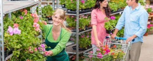 Retail greenhouse worker with green apron handling plants on rack as customer shop